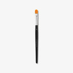 Brush Best Sellers Set